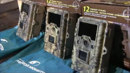 Фотоловушка KeepGuard бесплатно !!!
