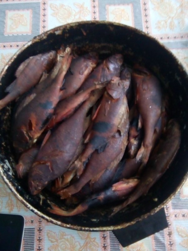 Окунь закопченый))