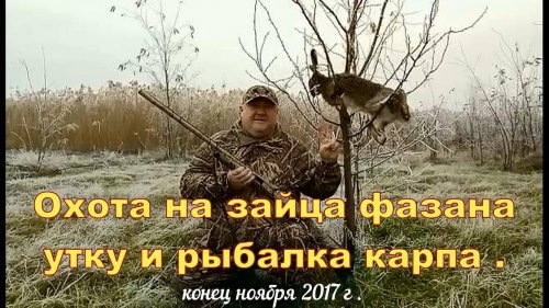 Охота на зайца, фазана, утку с легавыми