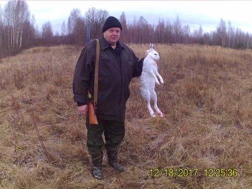 С полем.