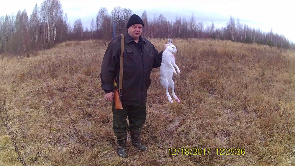 С полем.