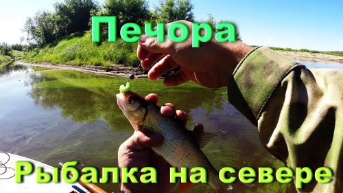 Рыбалка на севере. р Печора. Микроджиг. Жор окуня.