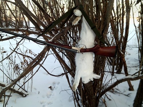 Ружье МР-210,в просто народе МР-43 но только экспортный вариант.