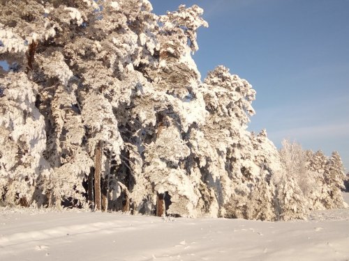 Красота сибирской природы ч3