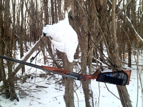 Прогулка в первых числах декабря.
