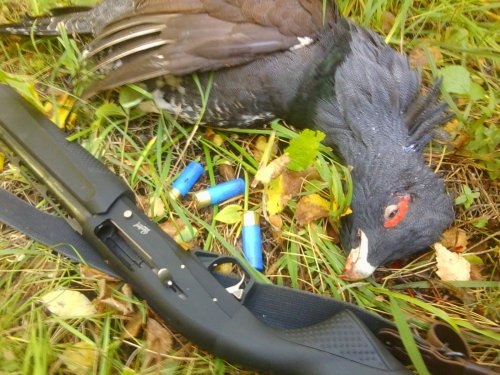 С полем!