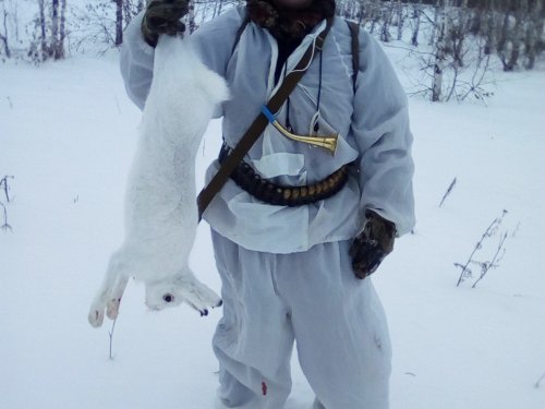 дообыл