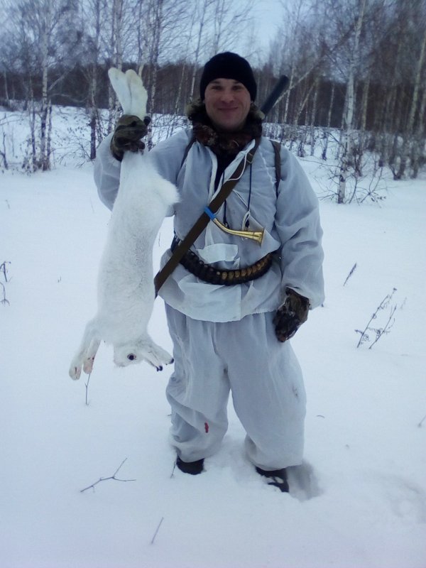 дообыл