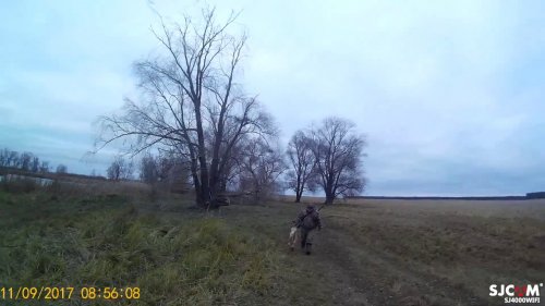Охота на лису c русской гончей по чернотропу