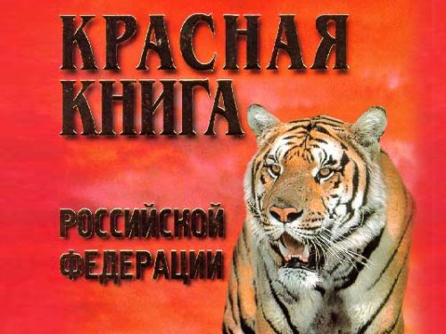 Серый гусь и гуменник вошли в спорные виды Красной книги