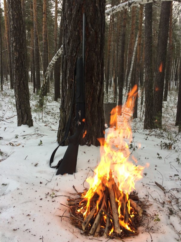 Прогулка