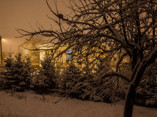 Вид из моего окна.