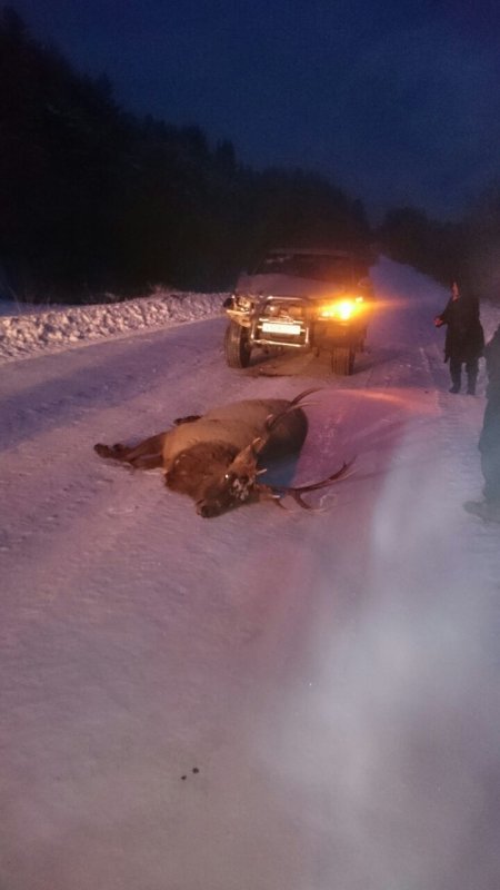 Позавчера на трассе