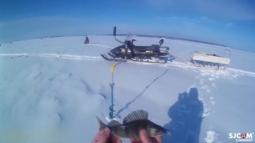 Поездка за окунем