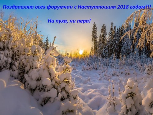 Поздравляю с Наступающим 2018 годом!