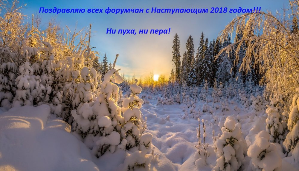 Поздравляю с Наступающим 2018 годом!