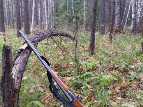 Верный помощник!