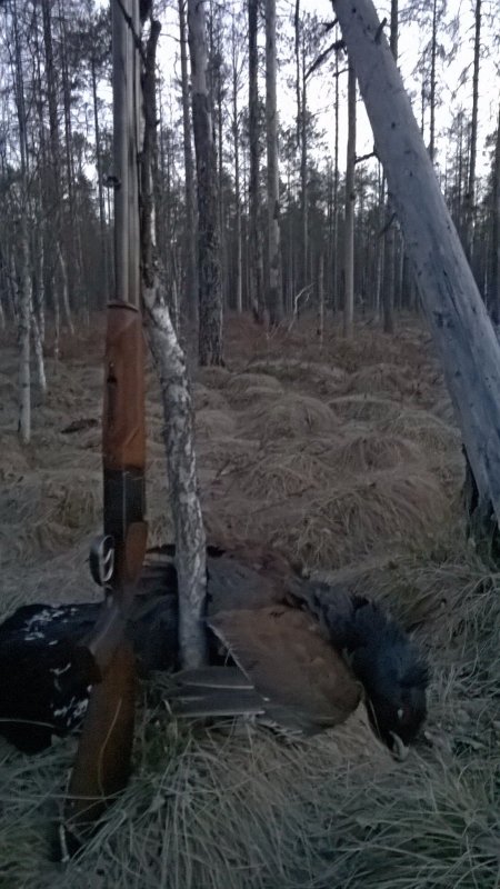МР- 251
