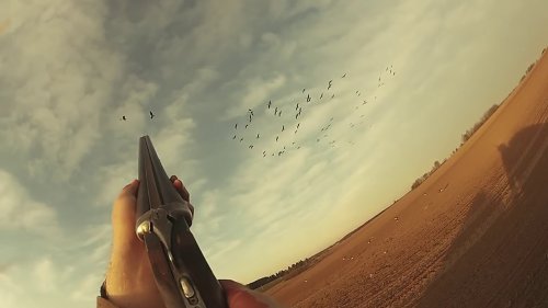 Лучшие выстрелы сезона 2017!! Slow Motion!! На гуся....