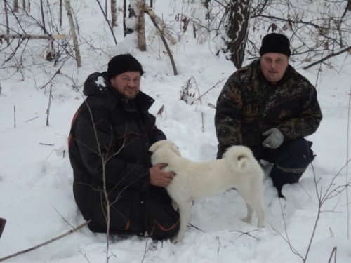 Соболеваем!