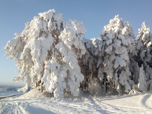 Красота сибирской природы ч2