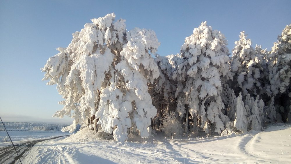 Красота сибирской природы ч2