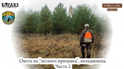 Охота на "лесного призрака", вальдшнепа. Часть 2