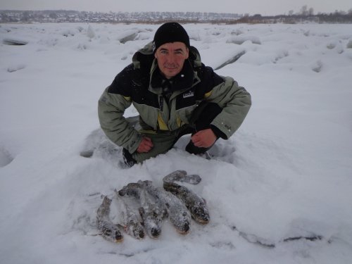 Уловчик.