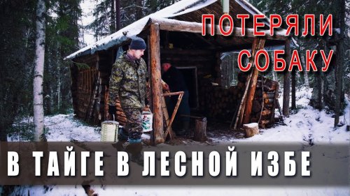 Поход в тайгу в лесную избу! ???? Зима в ноябре. ?