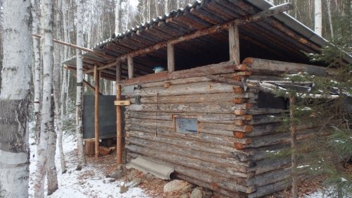 Охота с лайкой на белку. Нашел зимовье, подранок косули.