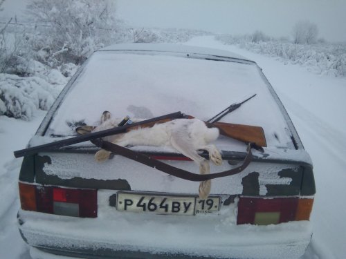 Последний герой