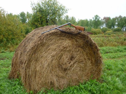 Люблю горизонталочку свою.........