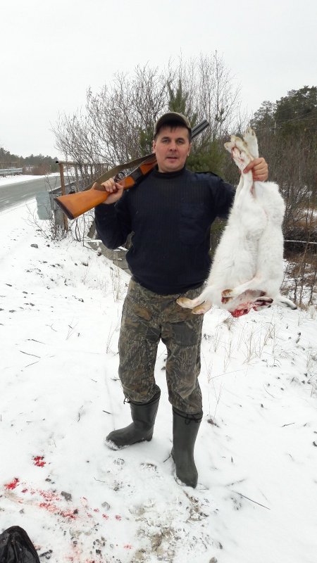 Сезон 2017