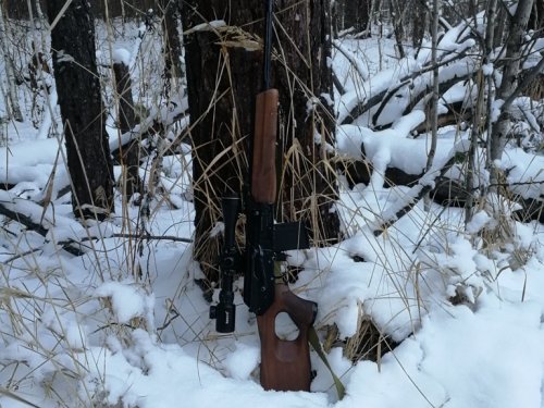 Мой первый сезон с нарезным