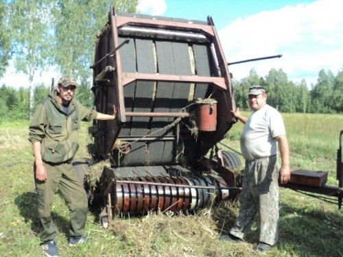 Лошадки тоже хочат кушать!