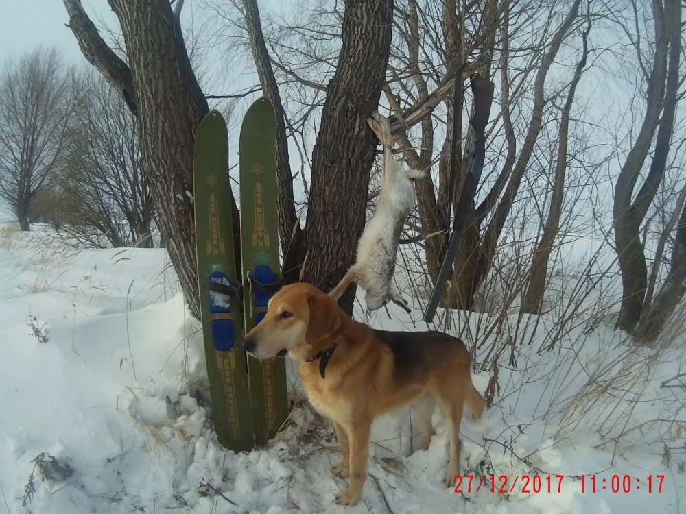 Под Новый год.