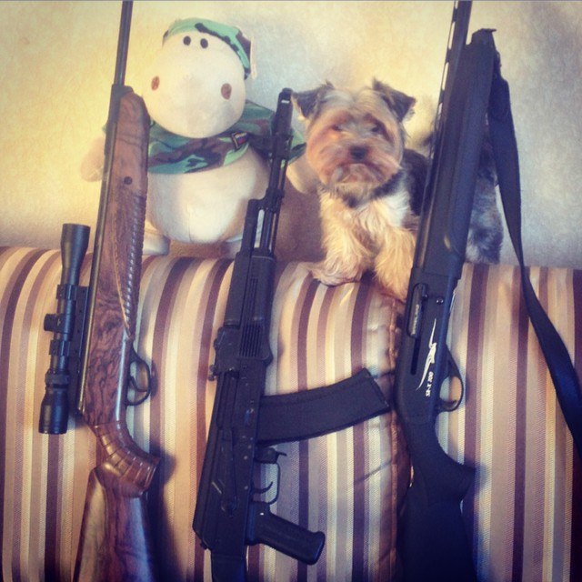 Диванный охотник
