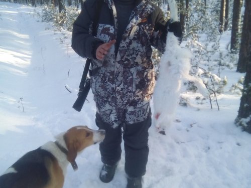 Новогодний