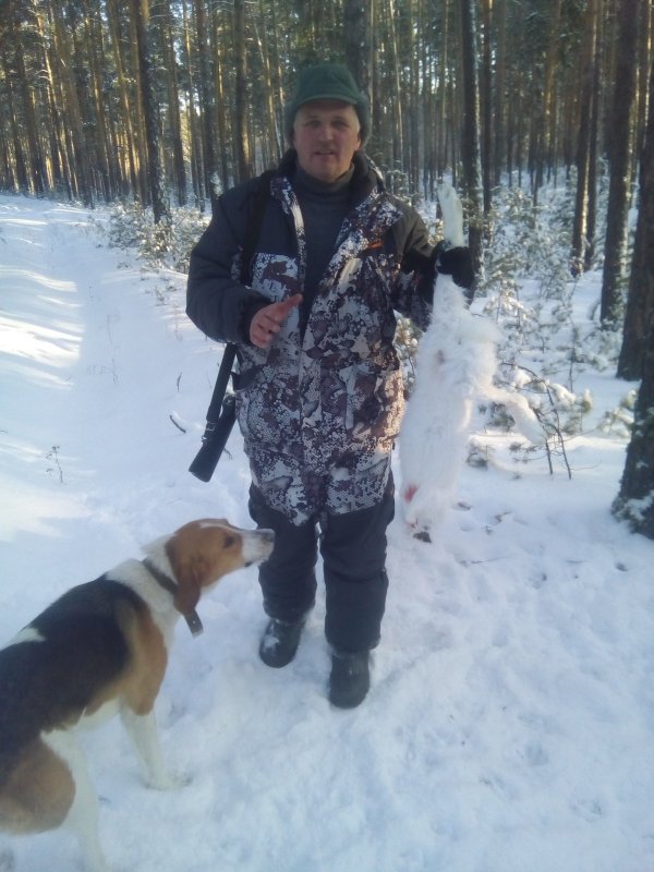 Новогодний