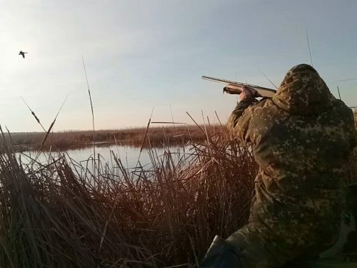 Красивый кадр