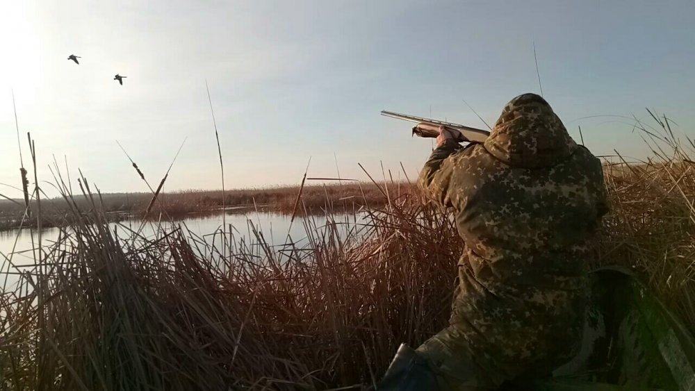 Красивый кадр