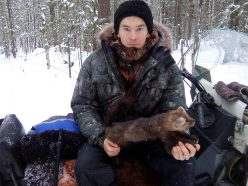 С соболем
