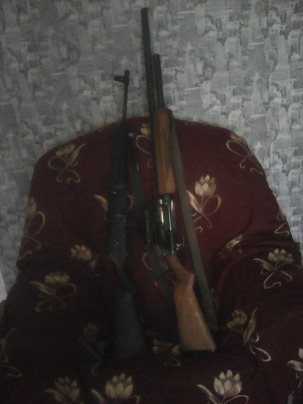 Мои ружья.