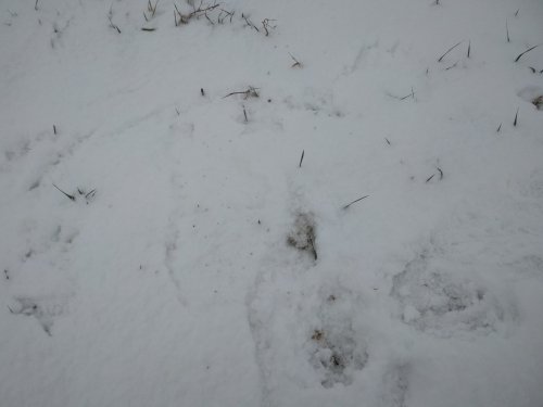 Битва была