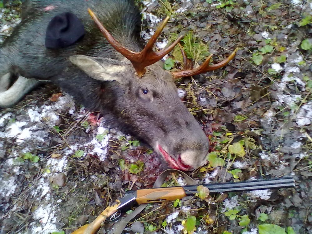 Иж-27..16 калибр..