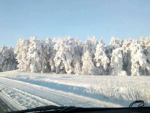 Красота сибирской природы
