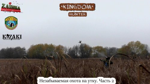 Незабываемая охота на утку.  Часть 2