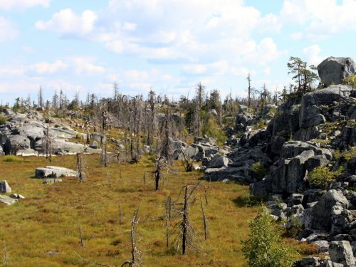 Карелия