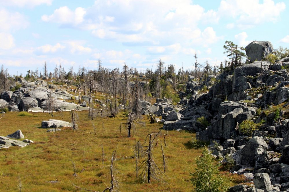 Карелия