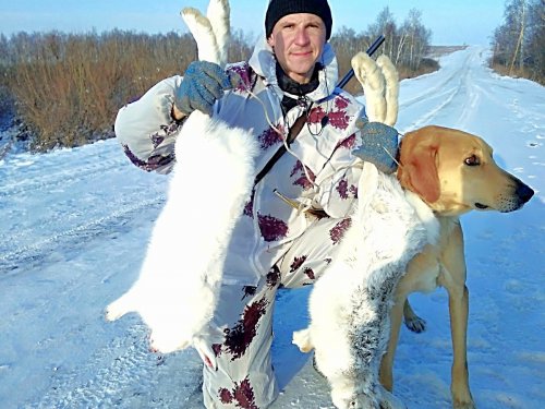 Снова в строю